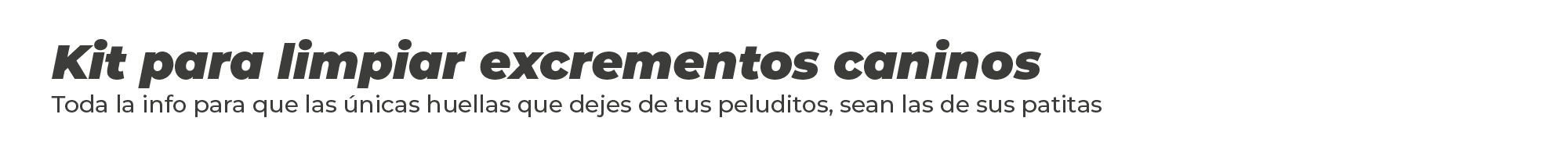 00_Banner_KitPerritos